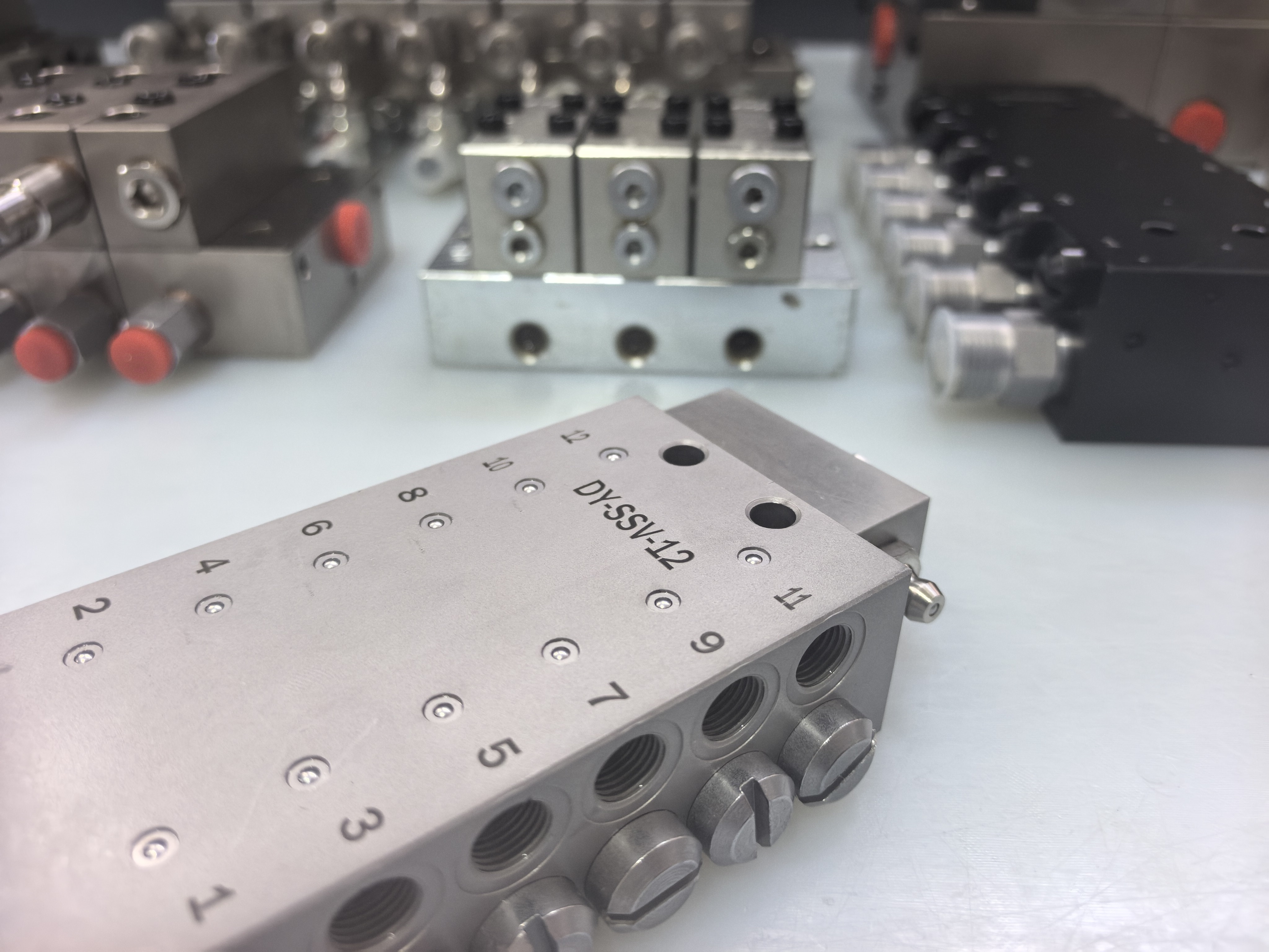 DY-SSV-12 Distributor